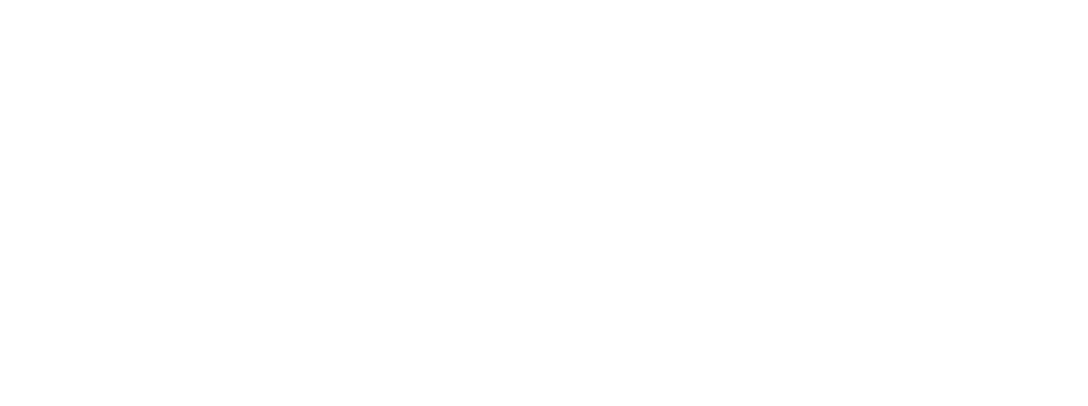 Fixace v aute logo
